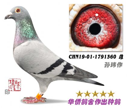 8̖(ho)--Af¾Sϵ1791360