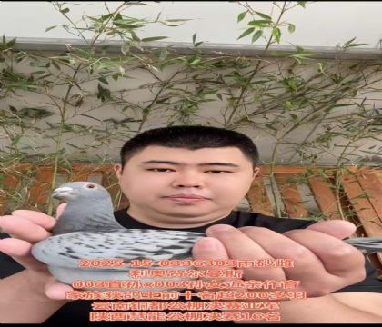 WR˹003ֱOX003OŮ