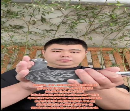 ֿ˹^ֱ̖X^ϯS˹ֱŮ