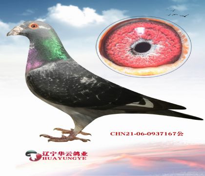 @䌦 Nǳ wꡱѪ 