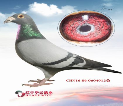 ϷNǌ  ɹĽݏM(jn)ѽ(jng)ɿ ϷN