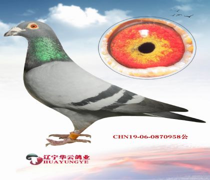 ِܶ һo(yu)Ӵ