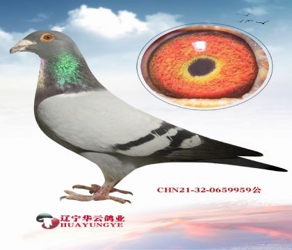 ѪzԘO(qing) ɶɶĳѪϵ