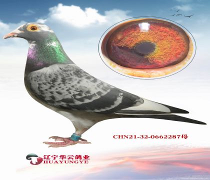 @ǂ w HS䌦 @䌦 Nǳ