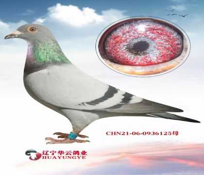 ^õ ǲ䌦  Wƥ˻ؠ 006Ѫϵ