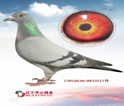 N S䌦ֱO  ֮ǰĲ۵Ѫϵ
