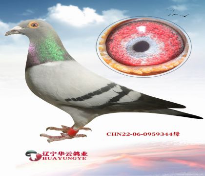 VIPQِ܊Xɣʿ15ι܊(qing)ᡷֱŮ