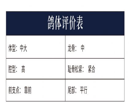 0770786yu