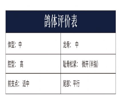 0810561yu