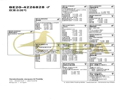 Ѫy(tng)