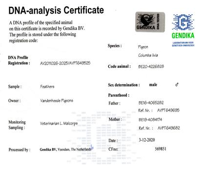 DNA