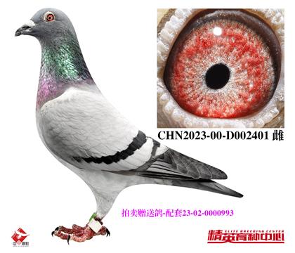 uٛ(zng)