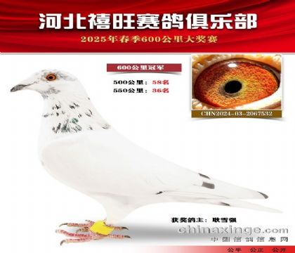 600公里冠軍