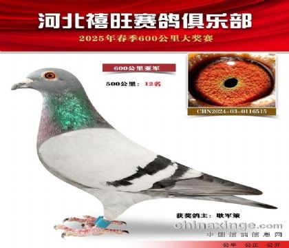 600公里亞軍
