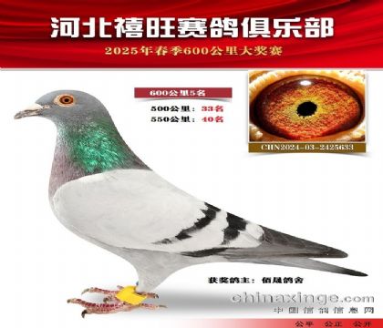 600公里5名