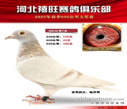 600公里7名