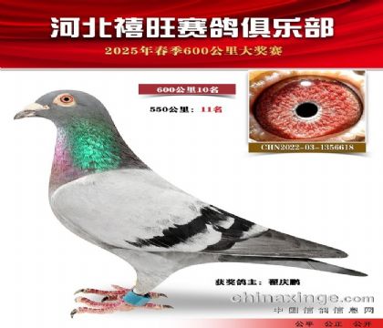 600公里10名