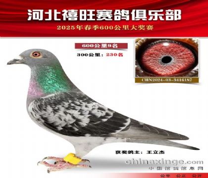 600公里9名