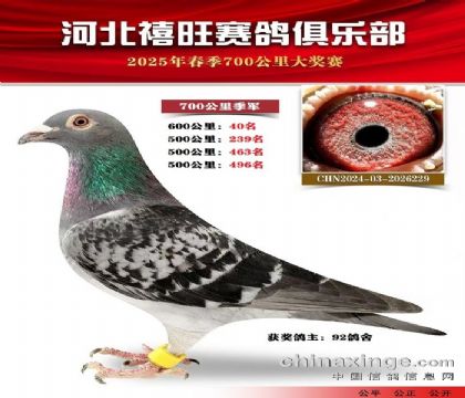 700公里季軍