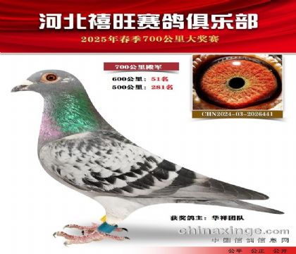 700公里4名