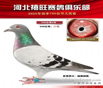 700公里8名