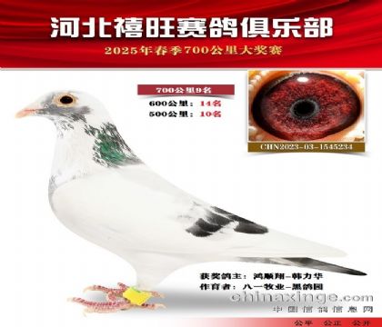 700公里9名