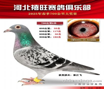 700公里6名