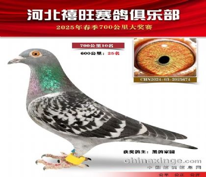 700公里10名