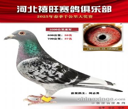 1000公里亞軍