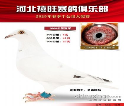 1000公里冠軍