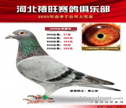 1000公里4名