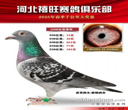 1000公里季軍