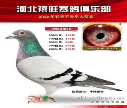 1000公里7名