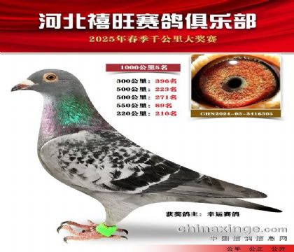 1000公里5名