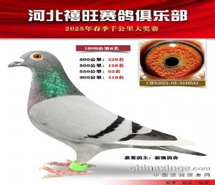 1000公里6名