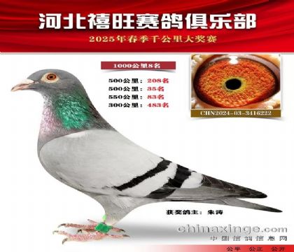 1000公里8名