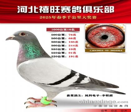 1000公里10名