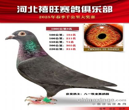 1000公里9名