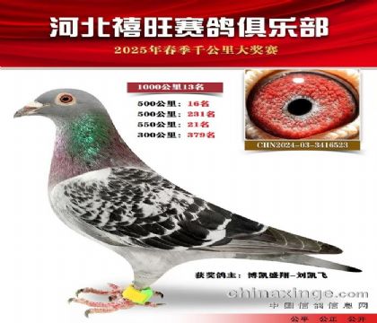 1000公里13名