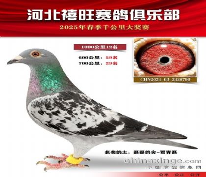 1000公里12名