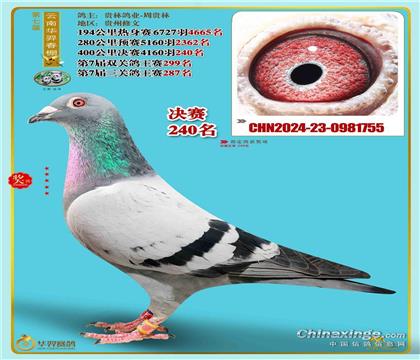 ȫ㣺AĹ240
