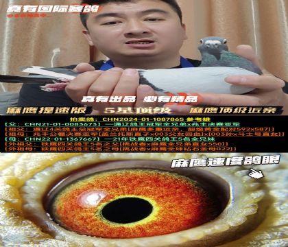 ٰ桷피H