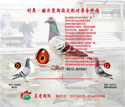 游