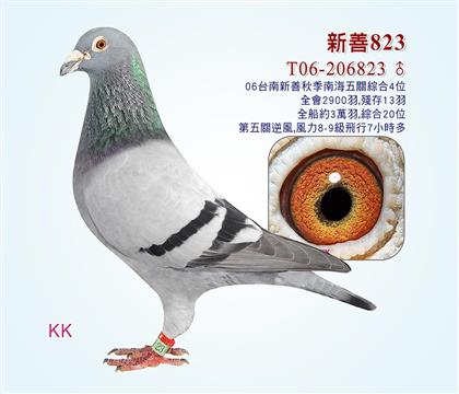 823