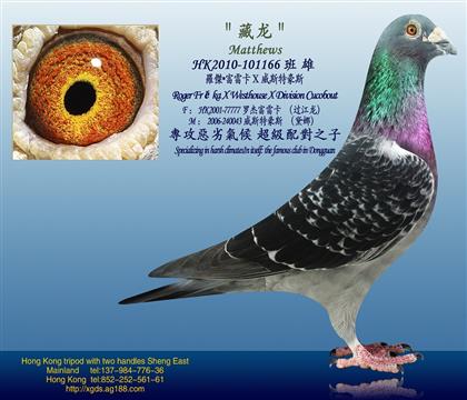 游