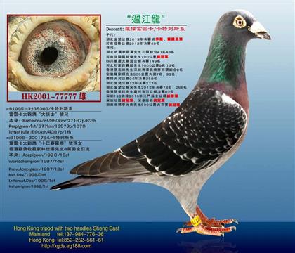 游
