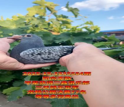 oS䌦ֱŮ