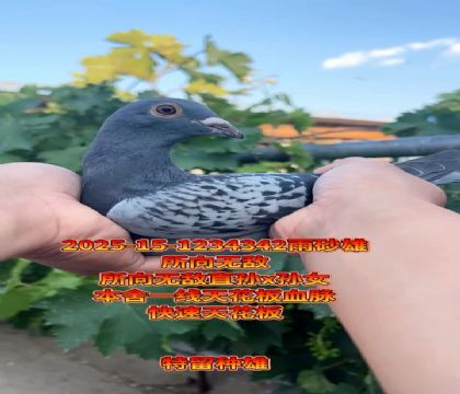 oѪNۣ컨Ѫ}Ѫ