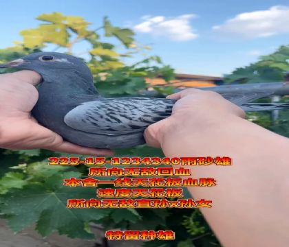 oѪNһ컨Ѫ}Ѫ