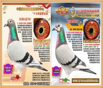 r(sh)911ֱ䱣r(sh)911OŮֱ